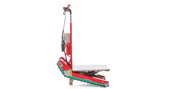 Zonzini Domino Stabilized